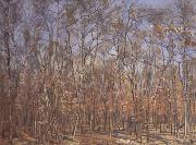 The Beech Forest (nn02) Ferdinand Hodler